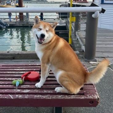 Yo七嘎 User Avatar